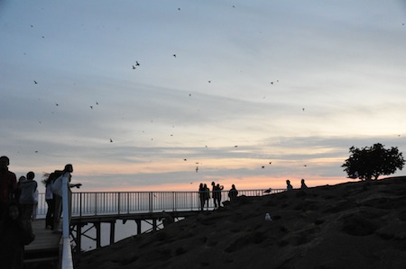 f0159390_1631036.jpg