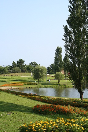 e0166094_1739934.jpg