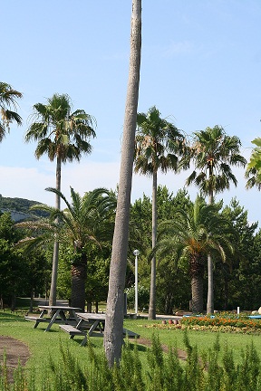 e0166094_1742184.jpg