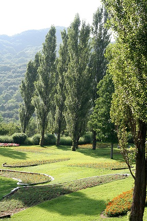 e0166094_17491262.jpg