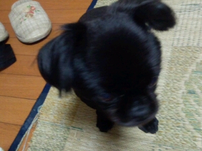 c0208099_23485531.jpg