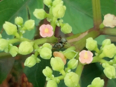 c0208099_23495895.jpg