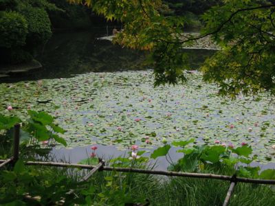 b0250907_2346537.jpg