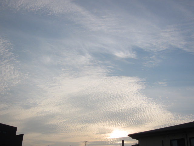 d0150309_1964483.jpg