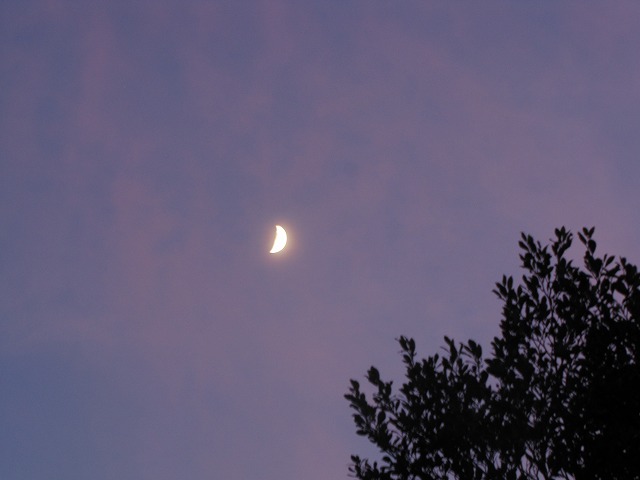 d0037110_22125440.jpg