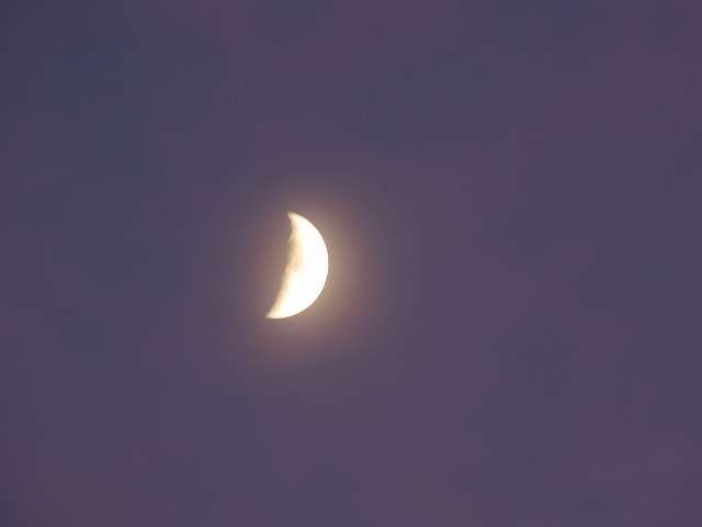 d0037110_2213940.jpg