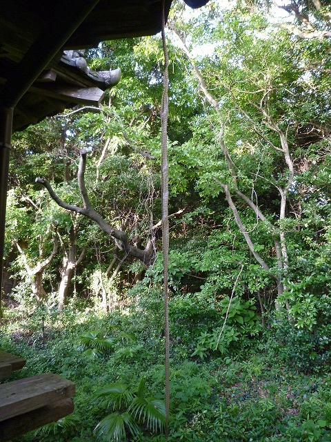 d0037110_22154613.jpg