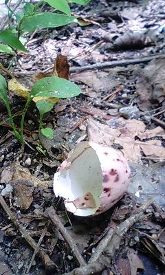 e0233614_1819184.jpg
