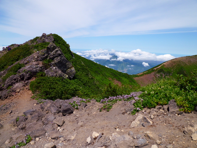 d0170615_932371.jpg