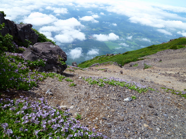 d0170615_9334.jpg