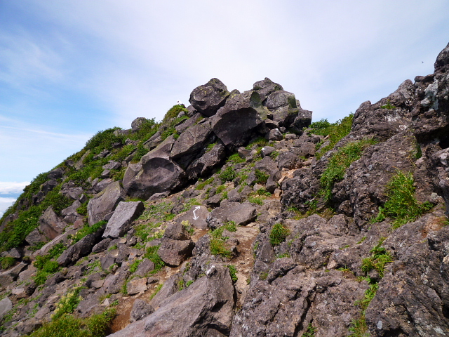 d0170615_9346100.jpg