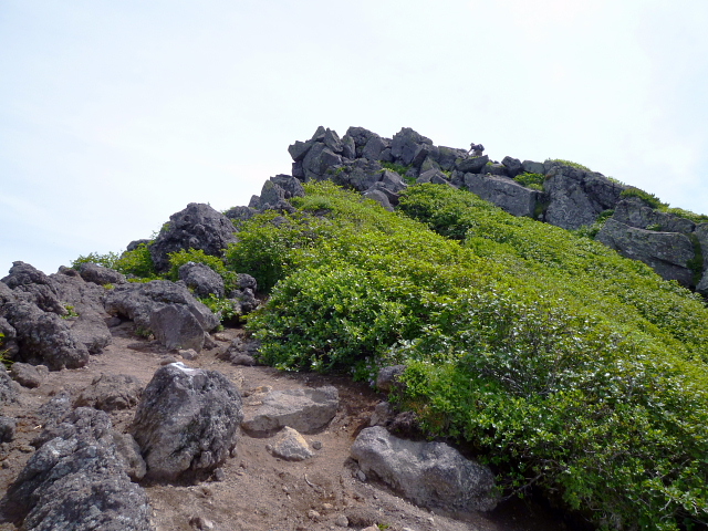d0170615_935986.jpg