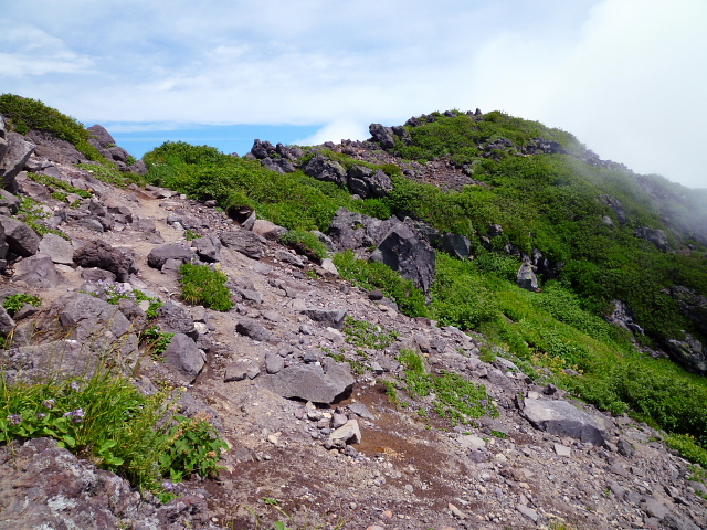d0170615_944831.jpg