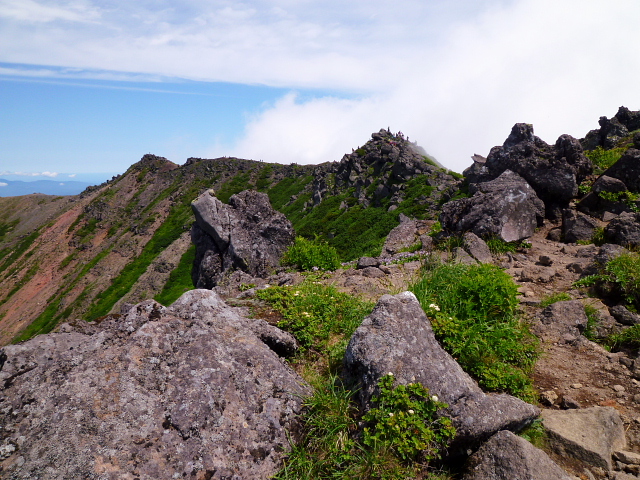 d0170615_9515.jpg