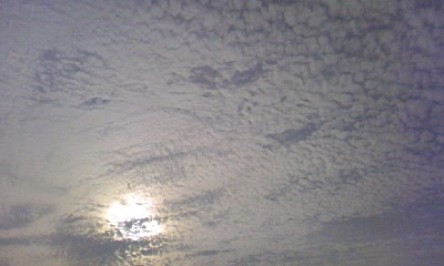 d0024220_2233160.jpg