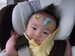 d0151227_16184417.gif