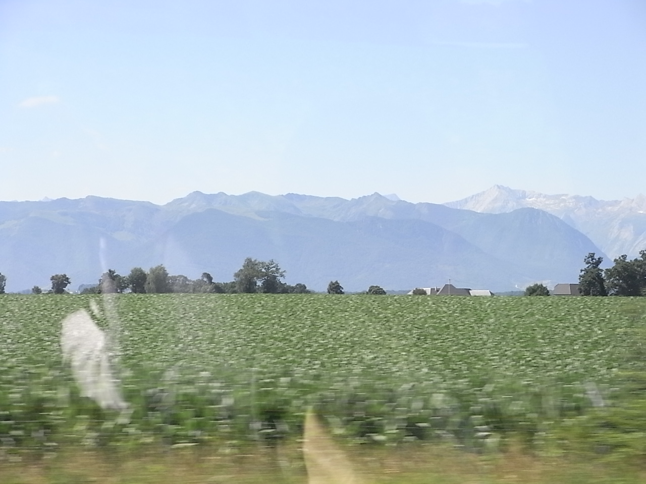 e0053327_22545019.jpg