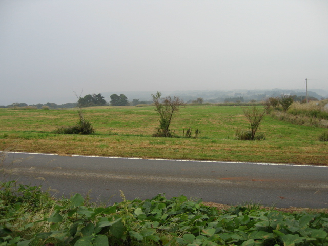 b0268228_15461962.jpg