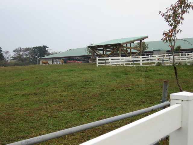 b0268228_1548310.jpg