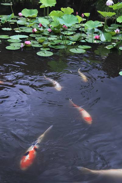 e0025930_2182551.jpg