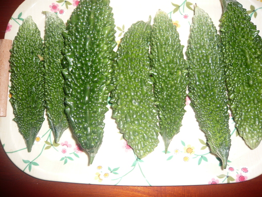 a0206332_1025340.jpg