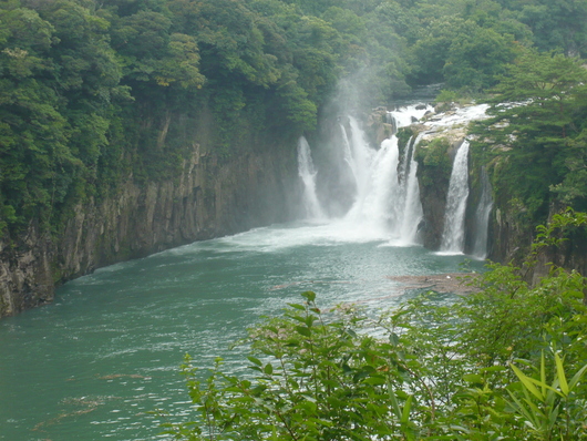 a0206332_85228.jpg