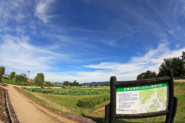 a0242438_18452946.jpg