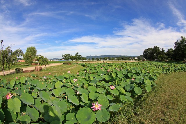 a0242438_1846374.jpg