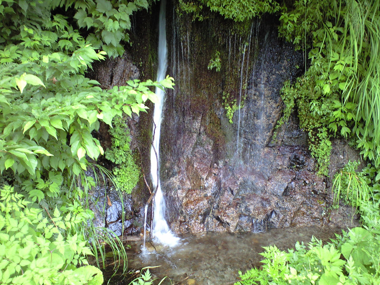 d0107938_1256766.jpg