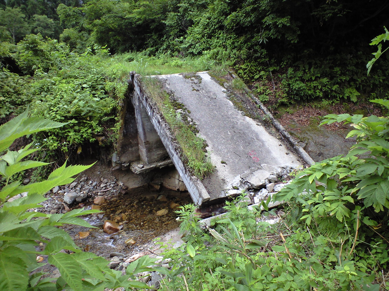 d0107938_1257264.jpg