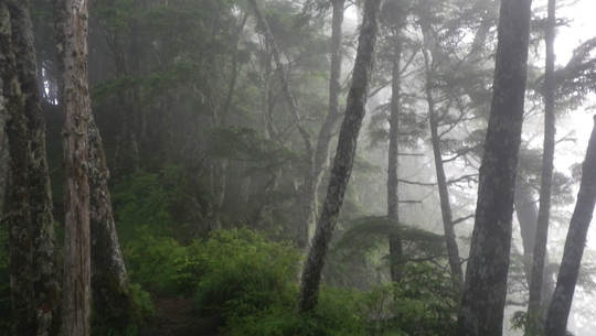 c0042847_1153412.jpg