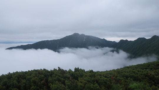 c0042847_1195629.jpg