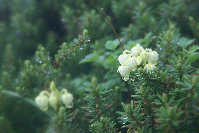f0214649_6524520.jpg