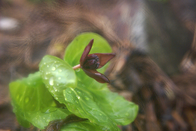 f0214649_654064.jpg
