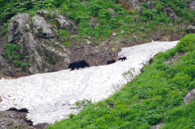 f0214649_6593022.jpg