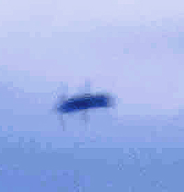 c0199552_0132284.jpg