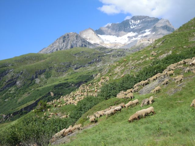 a0089754_549991.jpg