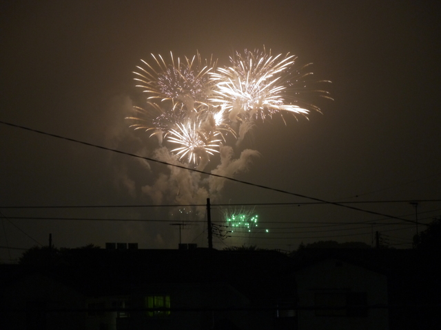 d0008157_15568.jpg