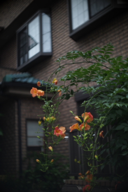 f0214858_20581041.jpg