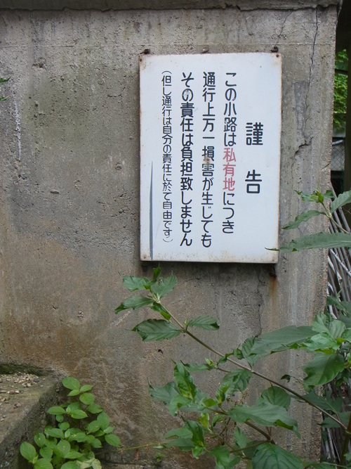 a0187861_17335740.jpg