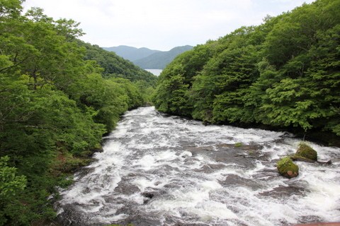 a0212365_2042721.jpg