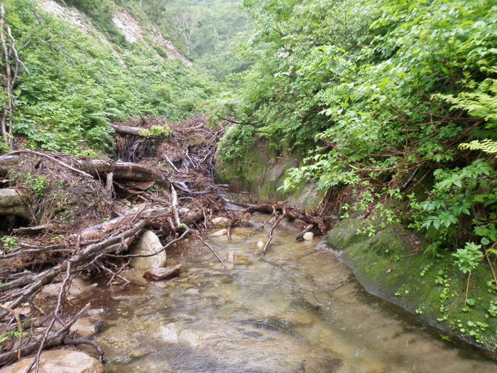 b0120066_1231935.jpg
