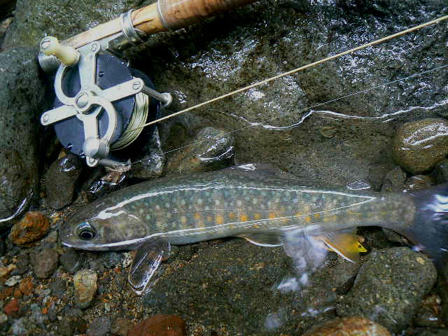 e0266070_23112422.jpg