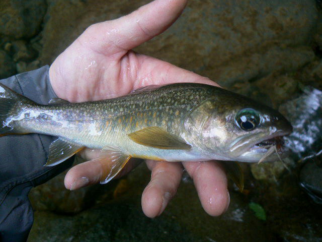 e0266070_23125421.jpg