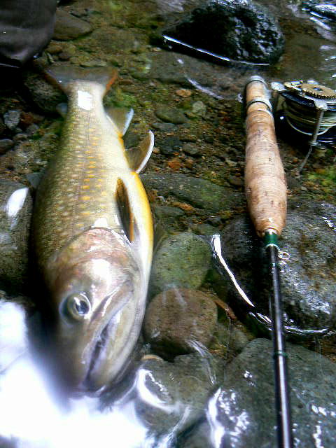 e0266070_2317574.jpg