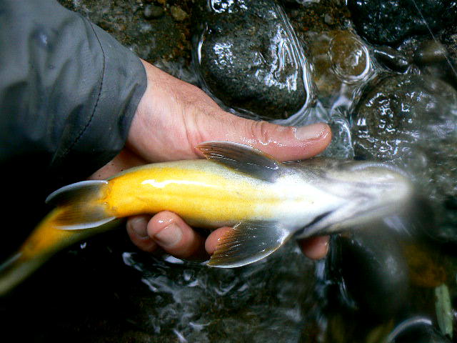 e0266070_23181750.jpg