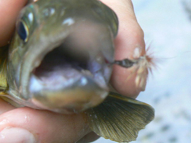 e0266070_23255728.jpg
