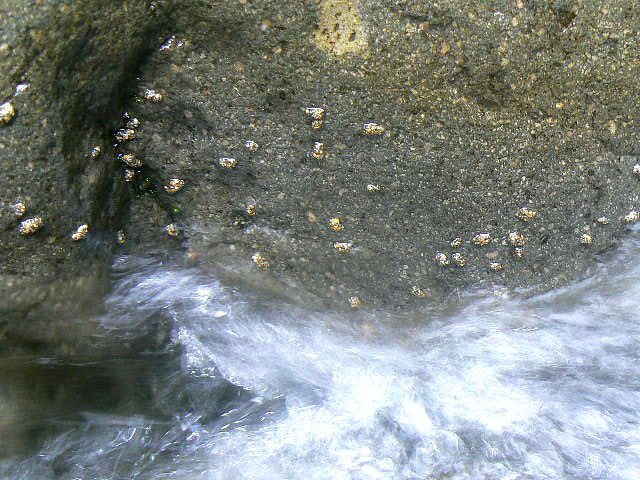 e0266070_2332362.jpg