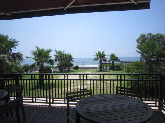 f0100871_22594999.jpg