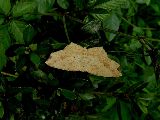 d0019074_8494983.jpg